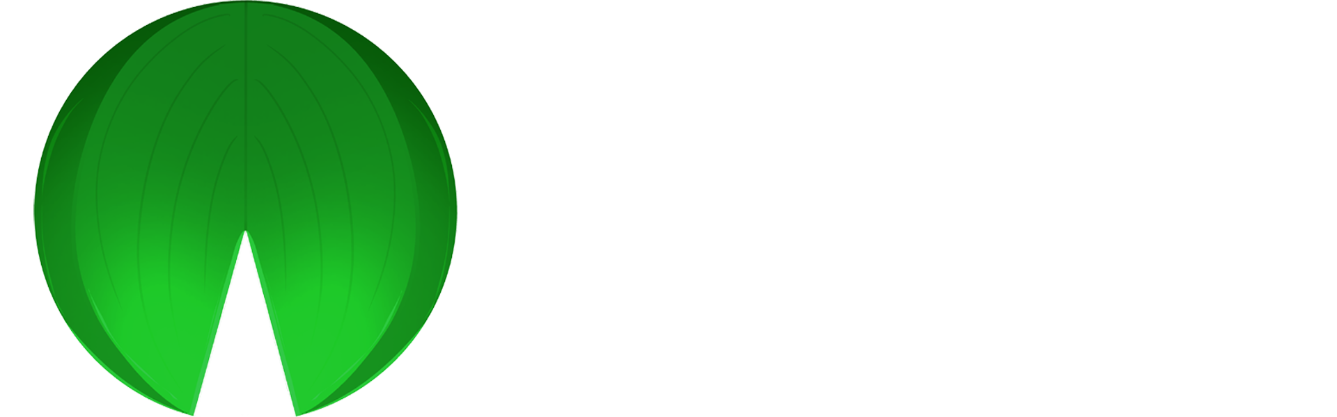 Lilypad Logo